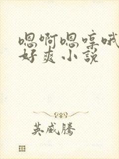 嗯啊嗯哼哦好大好爽小说