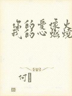 你的爱像火苗把我的心燃烧歌词