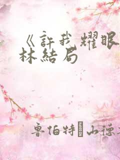 《许我耀眼》乔林结局