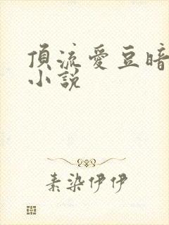 顶流爱豆暗恋我小说