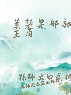 叶楚是哪部小说主角