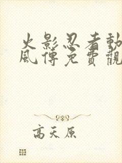 火影忍者动漫疾风传免费观看