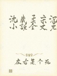 沈岁柔宋沉衍的小说全文免费