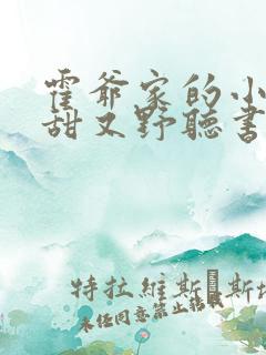 霍爷家的小祖宗甜又野听书