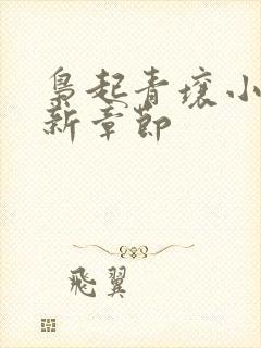 枭起青壤小说最新章节