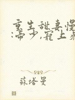 重生甜妻慢点撩:帝少,宠上瘾