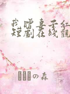 我赠妻子红缨枪短剧在线观看全集免费