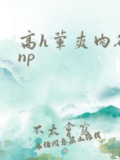 高h荤爽肉欲文np