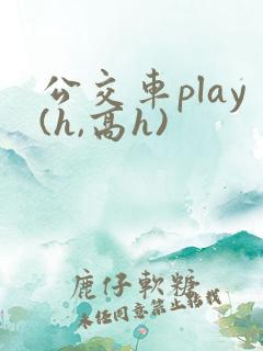 公交车play(h,高h)
