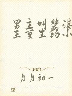 男主叫裴湛,女主重生的小说