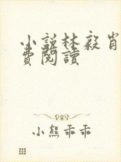 小说林毅肖远免费阅读