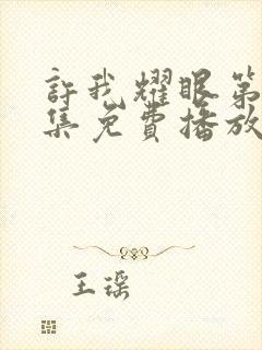 许我耀眼第10集免费播放