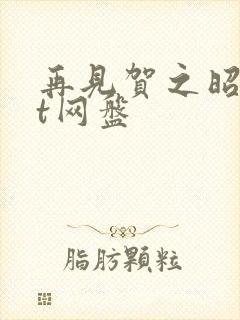 再见贺之昭txt网盘