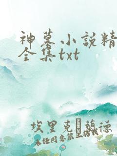 神墓小说精校版全集txt