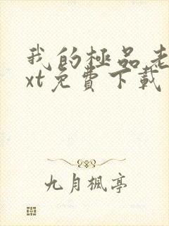 我的极品老婆txt免费下载