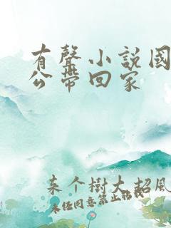 有声小说国民老公带回家