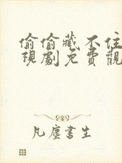 偷偷藏不住,电视剧免费观看