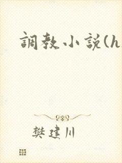 调教小说(h)