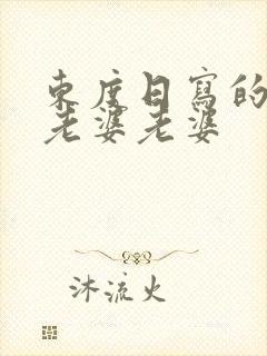 东度日写的老婆老婆老婆