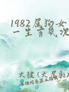 1982属狗女一生有几次婚姻