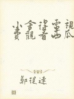 小舍得电视剧免费观看西瓜网