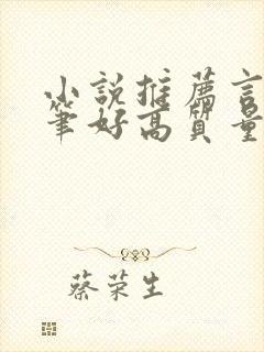 小说推荐言情文笔好高质量