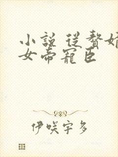 小说 从赘婿到女帝宠臣