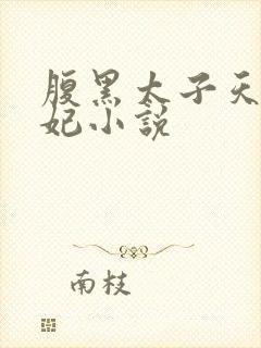 腹黑太子天降萌妃小说