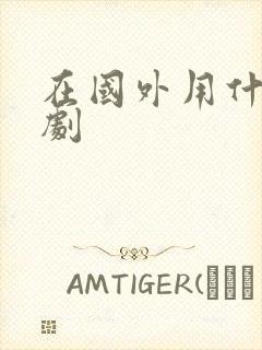 在国外用什么看剧