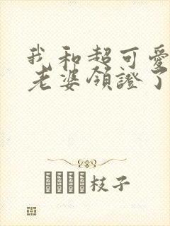 我和超可爱总裁老婆领证了txt下载