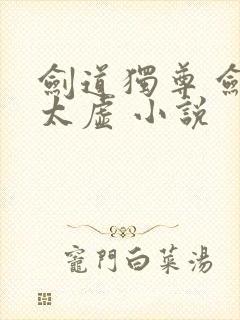 剑道独尊 剑游太虚 小说