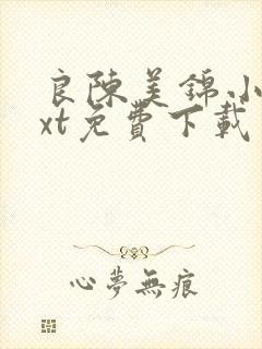 良陈美锦小说txt免费下载