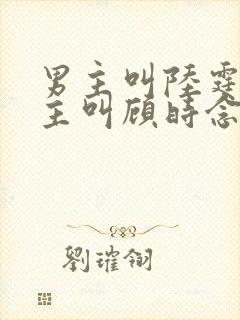 男主叫陆霆骁女主叫顾时念的小说