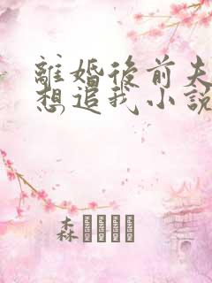 离婚后前夫总是想追我小说全集
