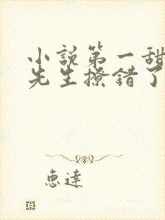 小说第一甜妻霍先生撩错了