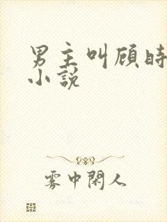 男主叫顾时晏的小说