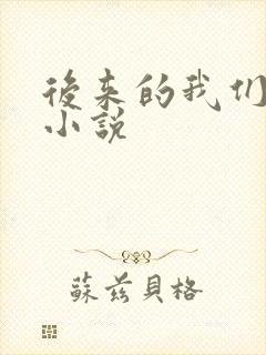 后来的我们原著小说