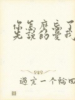 你怎么忘了是你先说的爱我歌词