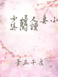 少妇人妻小说合集阅读