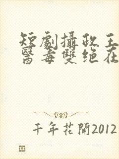 短剧摄政王妃她医毒双绝在线观看