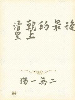 清朝的最后一位皇上