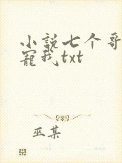 小说七个哥哥团宠我txt