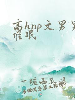 高hnp文男男催眠