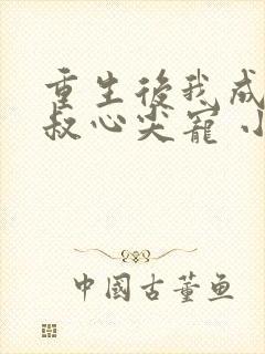 重生后我成了皇叔心尖宠 小说