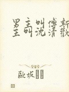 男主叫傅斯年女主叫沈清欢的小说