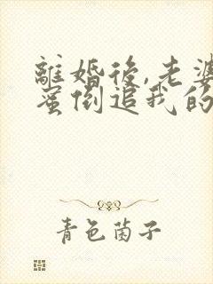 离婚后,老婆闺蜜倒追我的小说