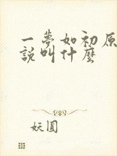 一梦如初原著小说叫什么