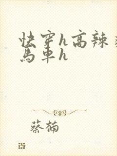 快穿h高辣爽文马车h