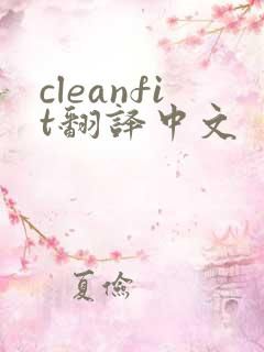 cleanfit翻译中文