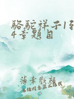 骆驼祥子1到24章题目